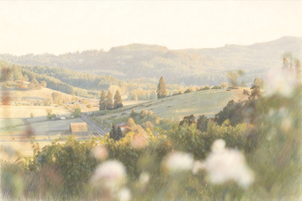 Vineyard overlooking hills, houses, animals, and mountains